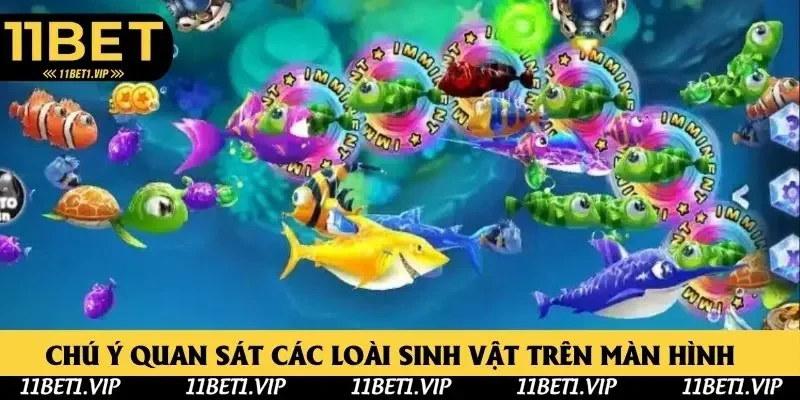 Chú ý quan sát các sinh vật trong bàn