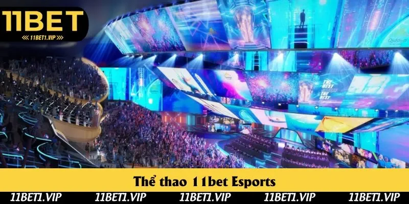 Esports được nhiều thành viên kỳ cựu đánh giá cao, chuyên nghiệp
